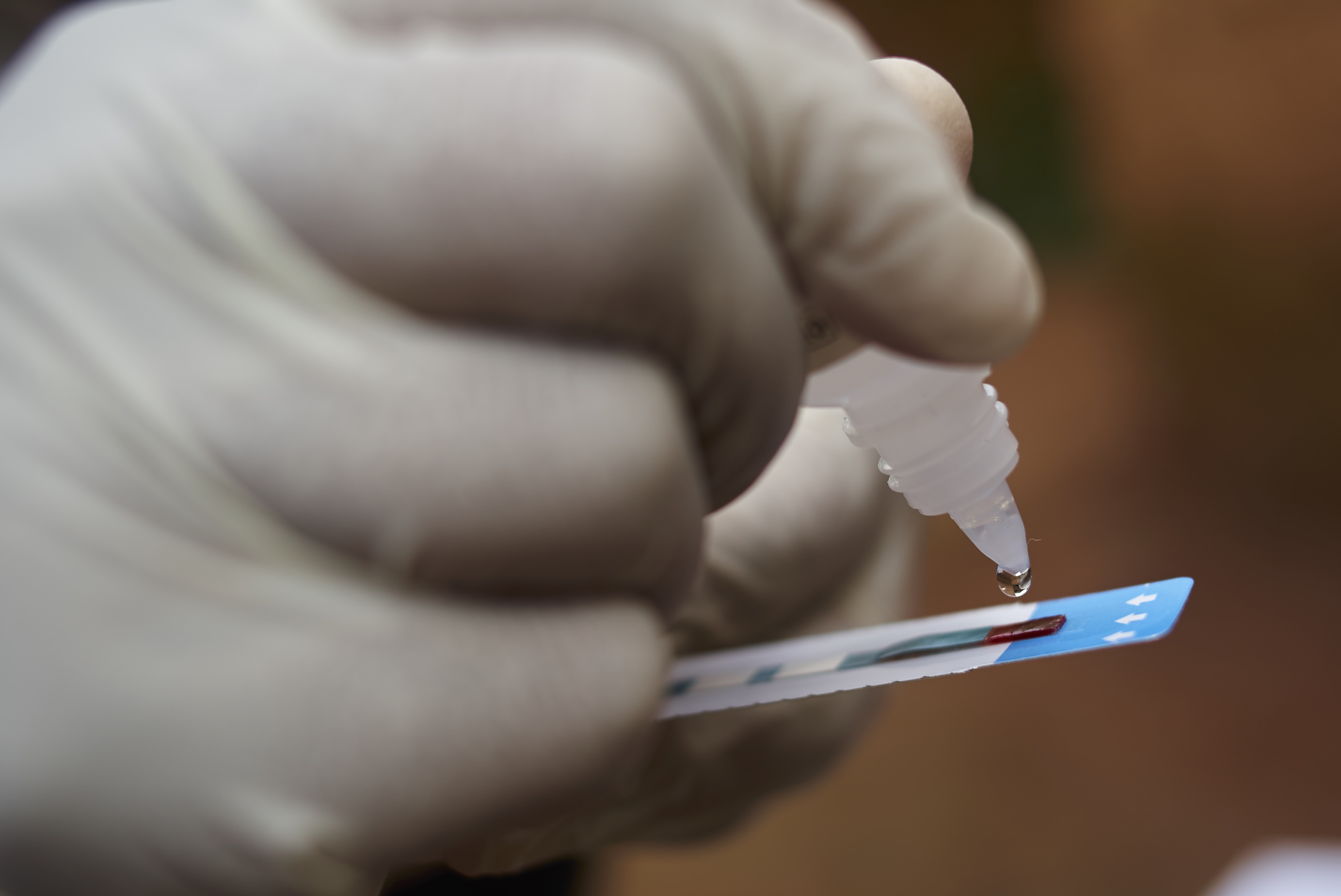 A close-up of a person wearing clinical gloves dropping a solution onto a test strip.